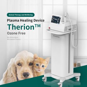 THERION